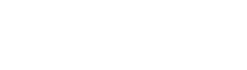 Logo Qonex_blanc