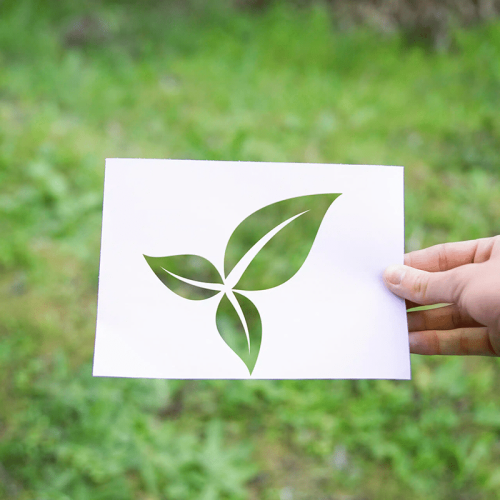 recadrer-main-symbole-feuilles-eco-scaled